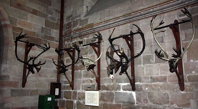 Reindeer antlers on wooden deer heads hanging in the north chapel of St Nicholas's church, Abbots Bromley