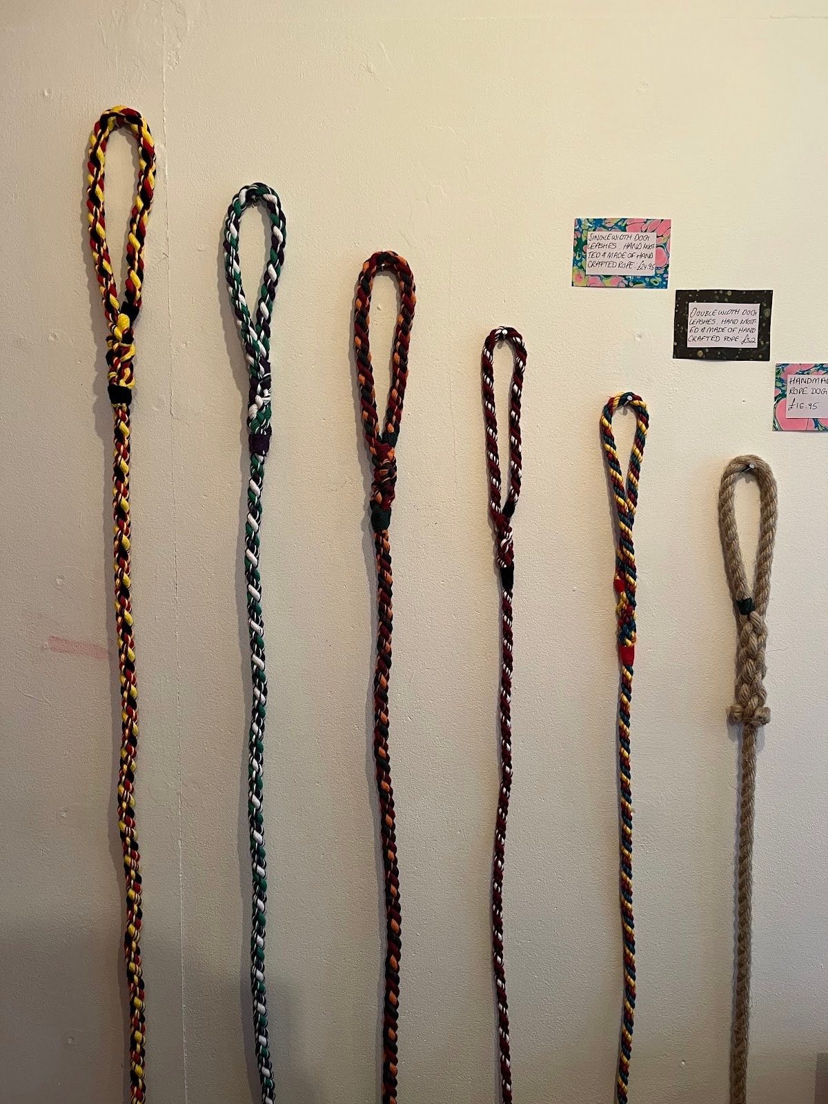 Six plaited rope dog leads in mixed colours hanging on a wall