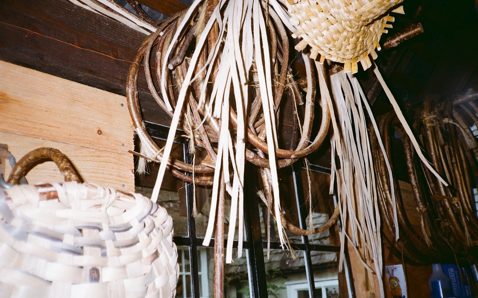 Split oak strips and hazel hoops hanging from the beams of a basket workshop